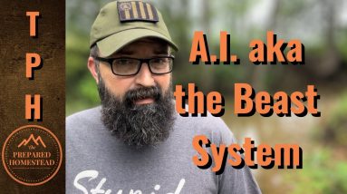 A.I. aka The Beast System