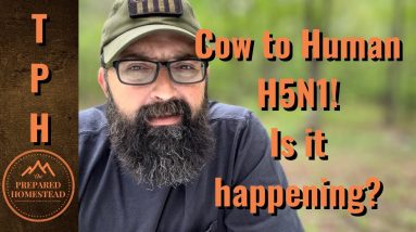 Cow to Human H5N1! Is it happening?