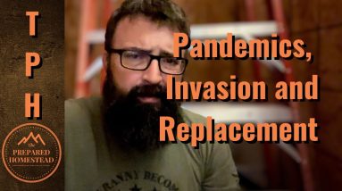 Pandemics, Invasions and Replacements