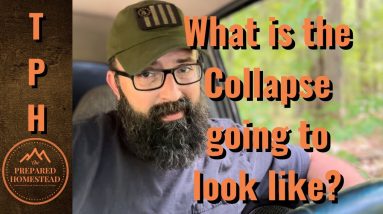 What is the Collapse going to look like?