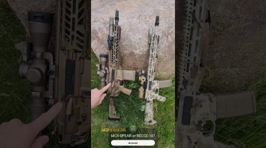 You Only Get One 4 SHTF🔥: SIG MCX-SPEAR vs BCM RECCE-16 #shorts #sigsauer #bcm #whatsayyou #308 #556