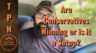 Are the Conservatives Winning in Europe or is it a Setup?