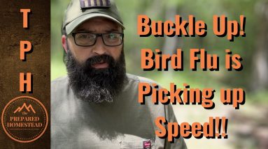 Buckle Up!! Bird Flu is Picking Up Speed!!