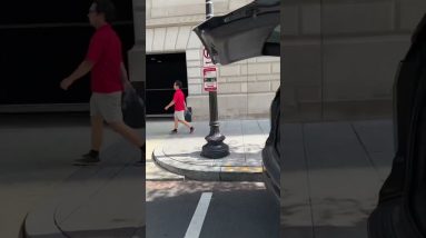 Complete Chaos In Washington DC