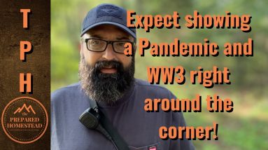 Experts showing the next Pandemic and WW3 right around the corner!!