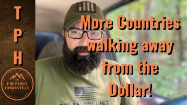 More Countries walk away from the Dollar. They see what’s coming!