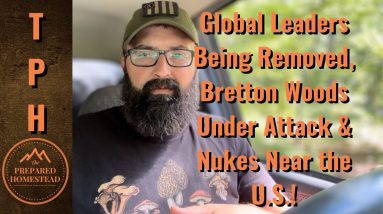 Must Watch! War, Nukes, Bretton Woods and more!