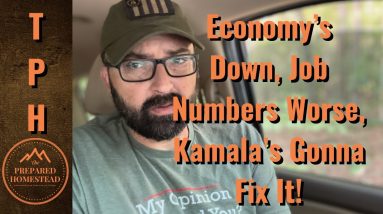 Economy’s Down, Job Numbers Worse! Kamala’s Gonna Fix It!