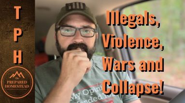 Illegals, Violence, Wars and Collapse
