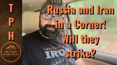 Russia and Iran in a Corner. Will they Strike?