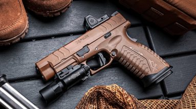 Best Concealed Carry GUNS for Self Defense in 2024