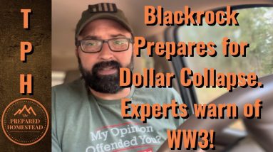 Blackrock Prepares for Dollar Collapse. Experts Warn of WW3!