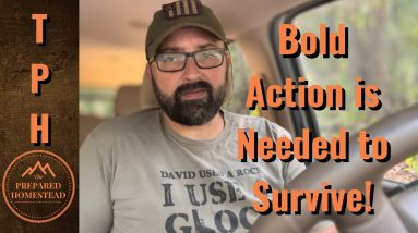 Bold Action is Needed to Survive!