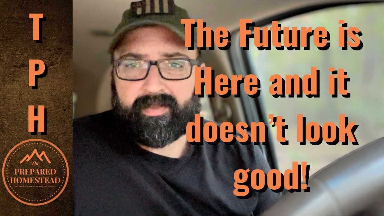 The Bleak Reality Of The Present A Glimpse Into The Unsettling Future