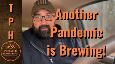 Another Pandemic is Brewing!