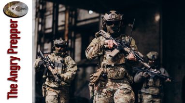 National Guards Are Being Deployed... (Election Edition)