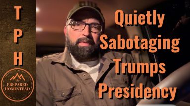 Quietly Sabotaging Trumps Presidency