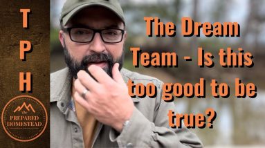 The Dream Team - Is this too good to be true?