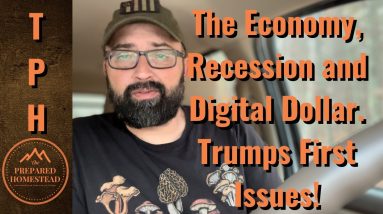 The Economy, Recession and Digital Dollar. Trumps First Issues!