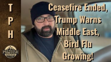 Ceasefire Ended, Trump Warns Middle East, Bird Flu Growing!