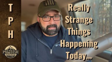 Really Strange Things Happening Today!