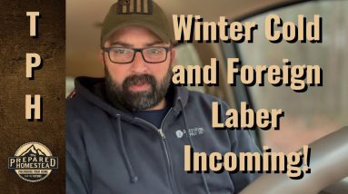 Winter Cold and Foreign Labor Incoming!