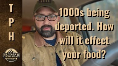1,000s being deported. How will that effect your food?