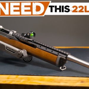Best .22 LR Rifles 2025! Who's On Top NOW?