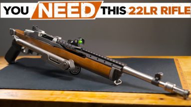 Best .22 LR Rifles 2025! Who's On Top NOW?