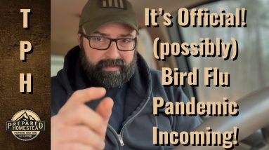 It’s Official! (possibly) Bird Flu Pandemic Incoming!