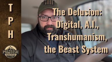 The Delusion: Digital, A.I., Transhumanism, The Beast System