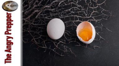 Eggs Warning!  Watch Out For This...