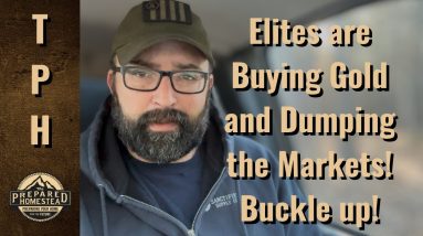 Elites are buying Gold and Dumping the Markets! Buckle up!