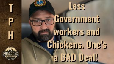 Less Government Workers and Chickens. One of those is BAD!