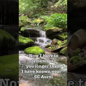 This Realization Is Soul Crushing…