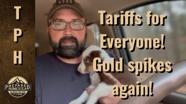 Tariffs for Everyone!! Gold spikes again!