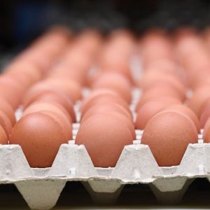 They Are Lying To Us About The Egg Shortage