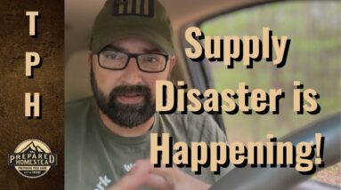 Supply Disaster is happening! The Pain to Follow!