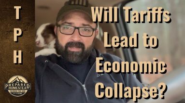 Will Tariffs Lead to Economic Collapse?