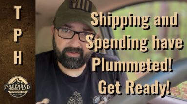 Shipping and Spending have Plummeted! Get Ready!