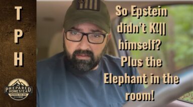 So Epstein Did K!|| himself! Plus a Big Elephant in the room!