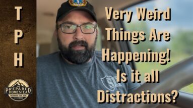 Very Weird Things Are Happening! Is it all Distractions?