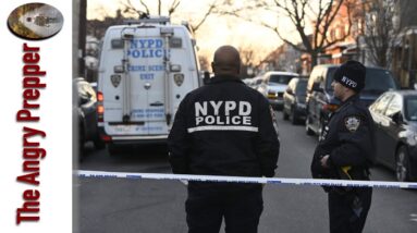 What The Hell Is Going On In NYC?