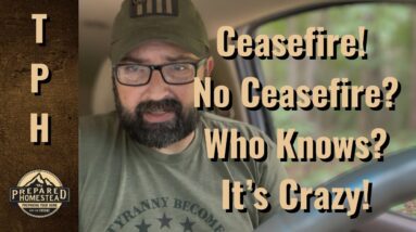 Ceasefire! No Ceasefire? Who Knows? It’s Crazy!