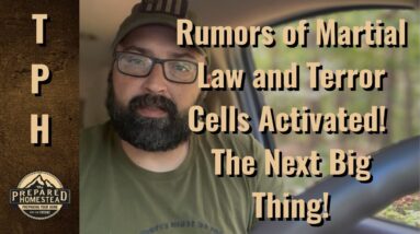Rumors of Martial Law and Terror Cells Activated! The Next Big Thing.