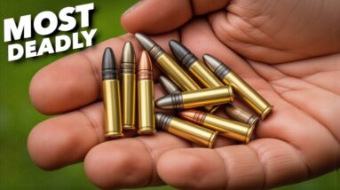 Why .22LR Is the MOST DEADLY Round in America!