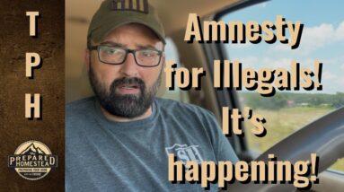 Amnesty for Illegals! It’s happening!