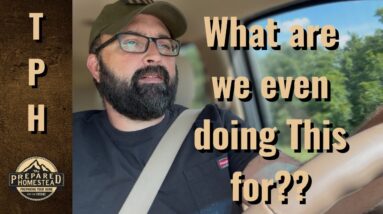 What are we even doing this for?