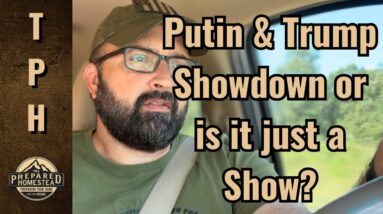 Putin and Trump Showdown, or is it just a Show?