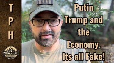 Putin, Trump and the Economy. It’s all fake!